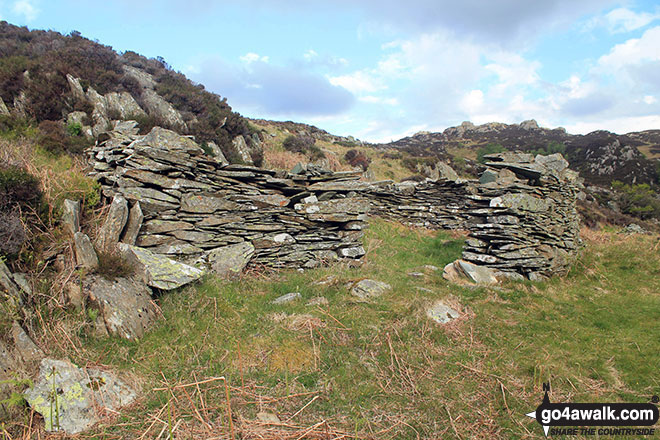 Walk c143 Brund Fell and King's How from Rosthwaite - Ruin beside the path up and down King's How