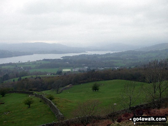 Walk c255 Orrest Head and School Knott from Windermere - Looking North West to Windermere from a wet and rainy Orrest Head