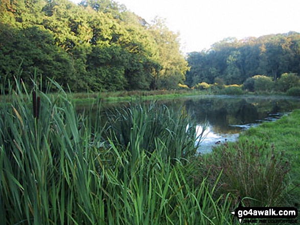 Walk ha104 Noar Hil and Selborne Common from Selborne - Pool on The Hangers Way