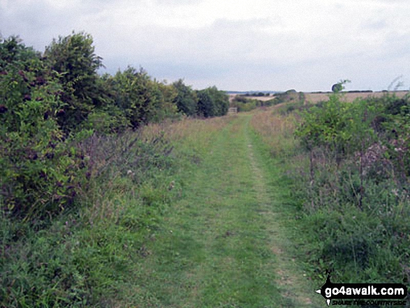 On Harcamlow Way (Roman Road) near Gunners Hall 