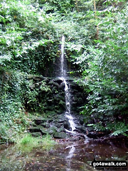 Walk su113 Friday Street from Westcott - Waterfall near Stable Copse