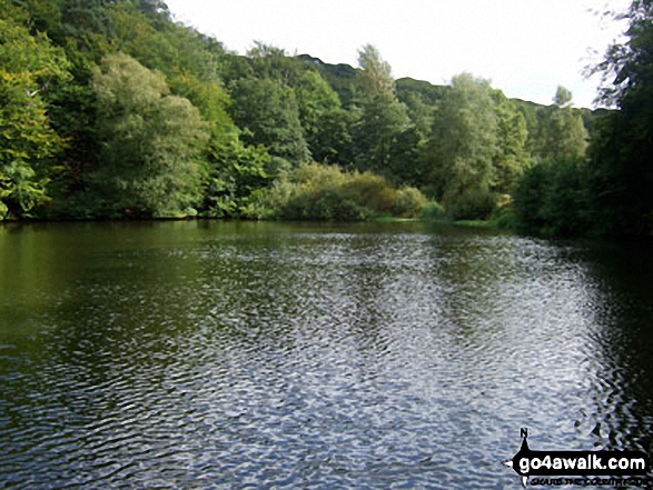 Walk su100 Leith Hill from Friday Street - Lake at Friday Street