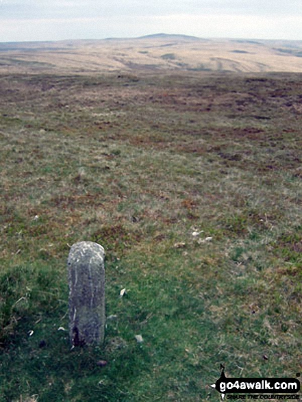 Walk po125 Gorllwyn (Pen y Gorllwyn) and Drygarn Fawr from Dolymynach Reservoir - Drygarn Fawr from a boundary stone on Gorllwyn (Pen y Gorllwyn)