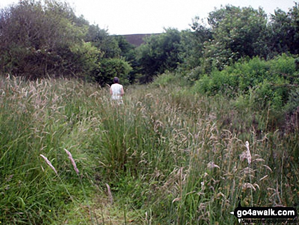 The path towards Longridge Fell from Weedacre Farm 