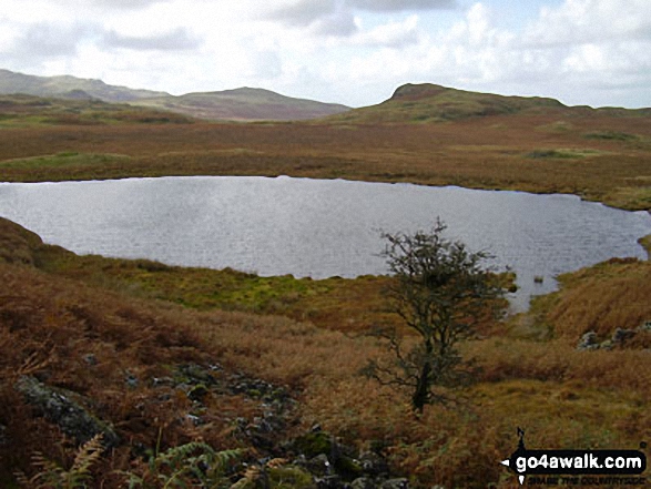 Low Birker Tarn 