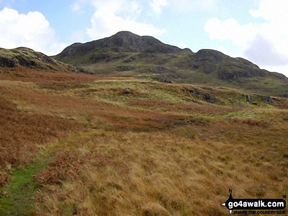 Walk c402 Harter Fell and Hard Knott from The Woolpack Inn, Eskdale - Green Crag (behind right) from Foxbield Moss