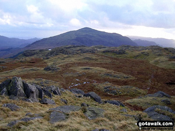 Harter Fell (Eskdale) from Hard Knott