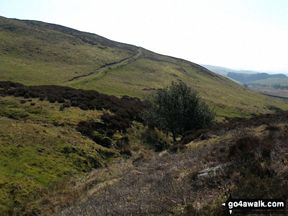 Walk c289 Lambrigg Fell from Wythmoor Farm - On Lambrigg Fell