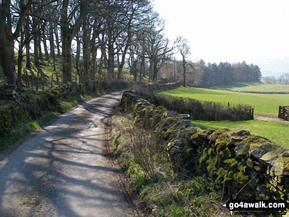 Walk c289 Lambrigg Fell from Wythmoor Farm - Lane near Kiln Head