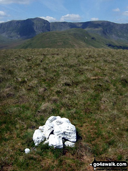 Lechwedd Du summit cairn with the Aran Fawddwy ridge (Aran Fawddwy, Erw y Ddafad-ddu & Aran Benllyn) in the background 