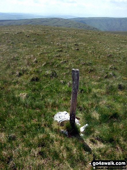 Walk gw157 Llechwedd Du, Esgeiriau Gwynion, Foel Hafod-fynydd and Moel y Cerrig Duon from Bwlch y Groes - Foel Rhudd summit