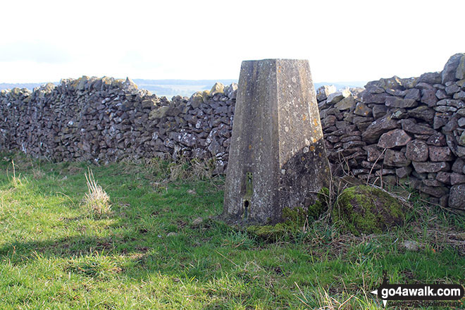 Walk d154 Over Haddon, Sheldon and Ashford in the Water from Bakewell - Noton Barn summit Trig Point