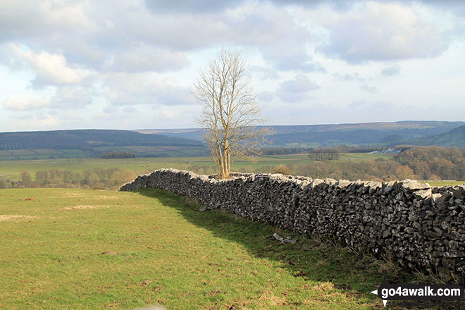 Walk d127 Lathkill Dale and Bradford Dale from Youlgreave - Fields above Over Haddon