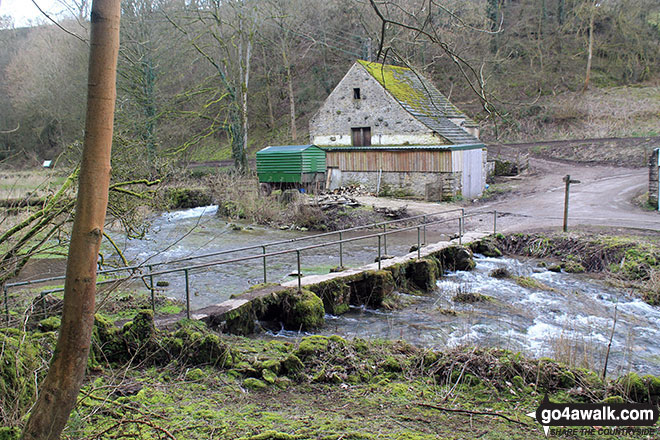 Walk d154 Over Haddon, Sheldon and Ashford in the Water from Bakewell - The River Lathkill at Over Haddon