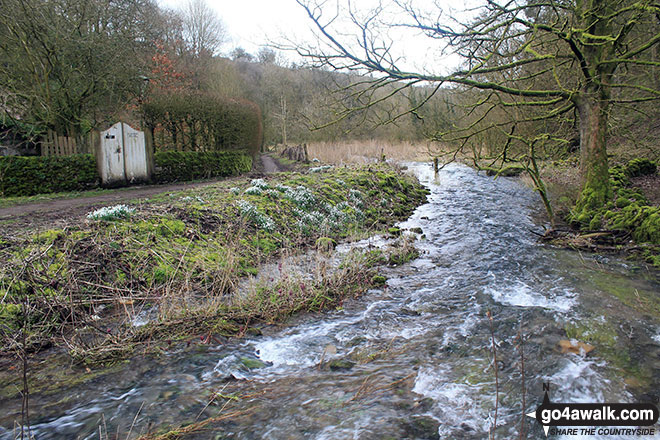 Walk d154 Over Haddon, Sheldon and Ashford in the Water from Bakewell - The River Lathkill at Over Haddon