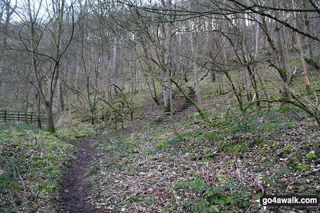 Walk d178 Fin Cop and Monsal Dale from Ashford in the Water - Great Shackleton Wood