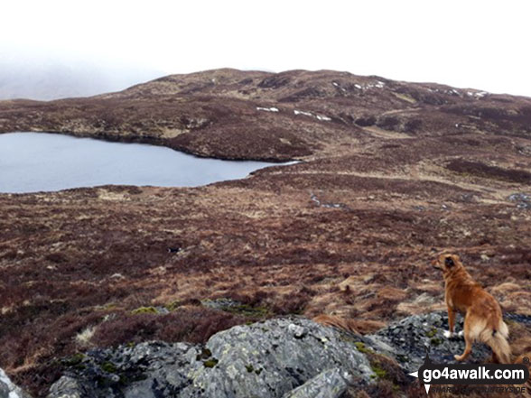 Walk Beinn Dubh (Loch Chon) walking UK Mountains in Loch Lomond and The Trossachs to Loch Tay Loch Lomond and The Trossochs National Park Stirlingshire, Scotland