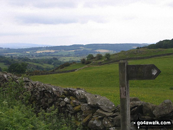 Walk c185 School Knott and The Dales Way from Ings - The Dales Way near Hag End Farm