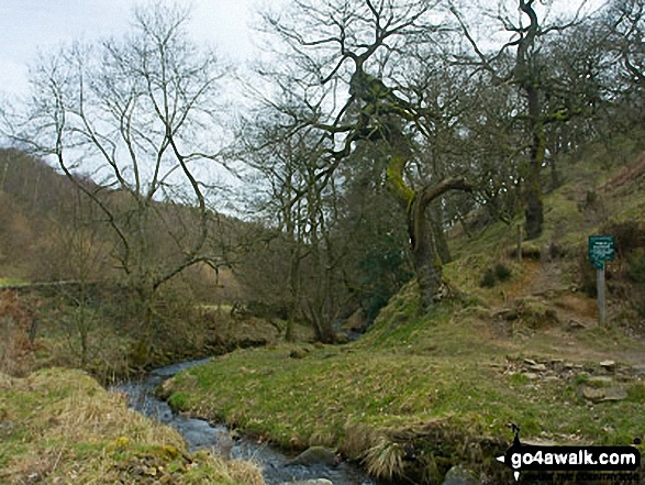 Stoke Ford in Bretton Clough 