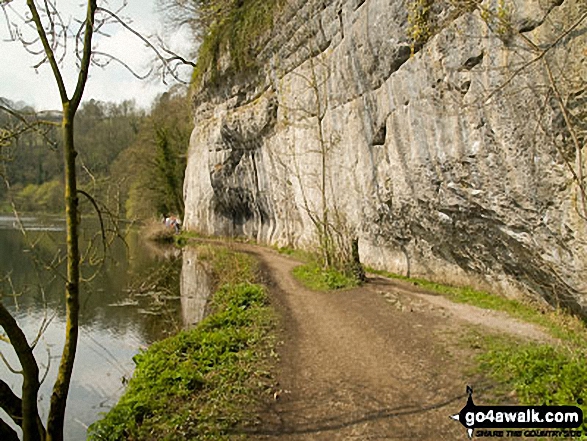 Walk d246 Miller's Dale and Water-cum-Jolly Dale from Tideswell - The River Wye in Water-cum-Jolly Dale