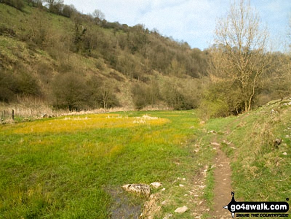 Walk d196 Water-cum-Jolly Dale, Cressbrook Dale and Monks Dale from Miller's Dale - Monk's Dale