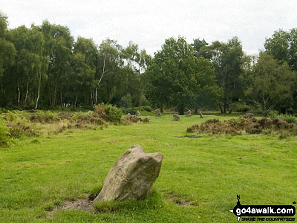 Nine Ladies Stone Circle from Ther King Stone 