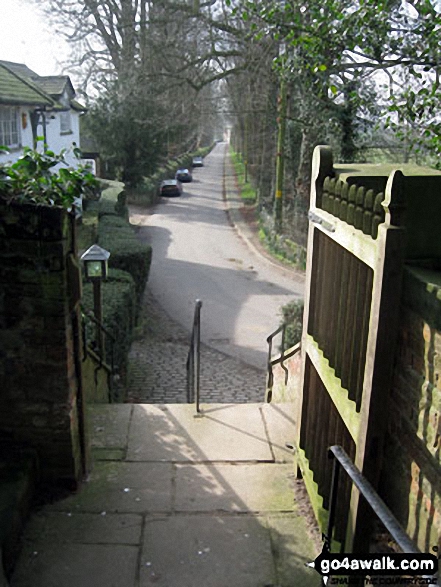 Walk ch175 The Macclesfield Canal, Bosley Locks and North Rode from Gawsworth - Entrance steps to Gawsworth Church