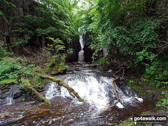 Catrigg Force 