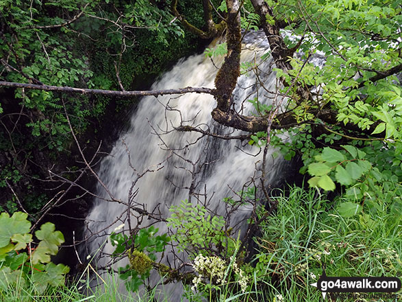 Catrigg Force from the top of the falls 