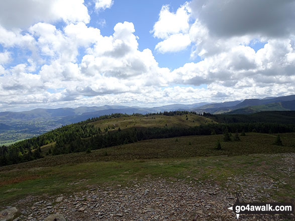 Walk c360 The Lorton and Wythop Fells from Whinlatter Forest Park - Ullister Hill from Lords Seat (Whinlatter)