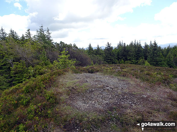 The summit of Ullister Hill 