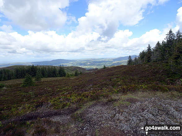 The view from the summit of Ullister Hill