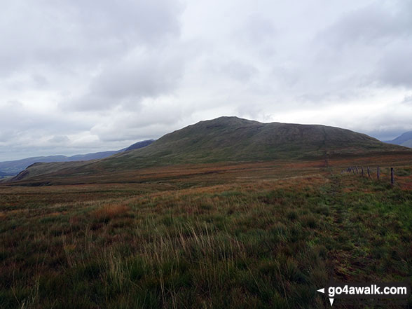 Walk c478 Burnbank Fell, Blake Fell and Gavel Fell from Loweswater - Hen Comb from Whiteoak Moss