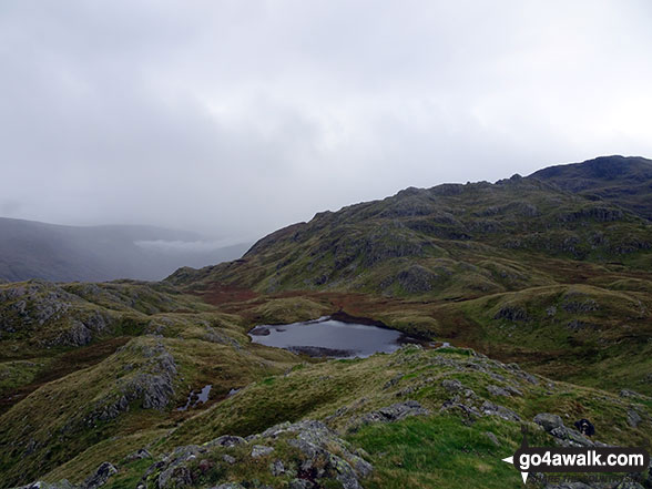 Walk c139 Allen Crags, Glaramara and Seathwaite Fell from Seatoller (Borrowdale) - Tarn at Leaves from Rosthwaite Fell (Bessyboot)