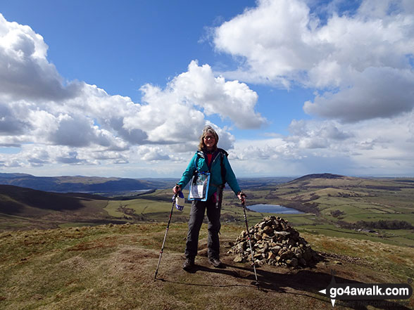 Walk c168 Great Mell Fell from Brownrigg Farm - Me on the summit of Longlands Fell