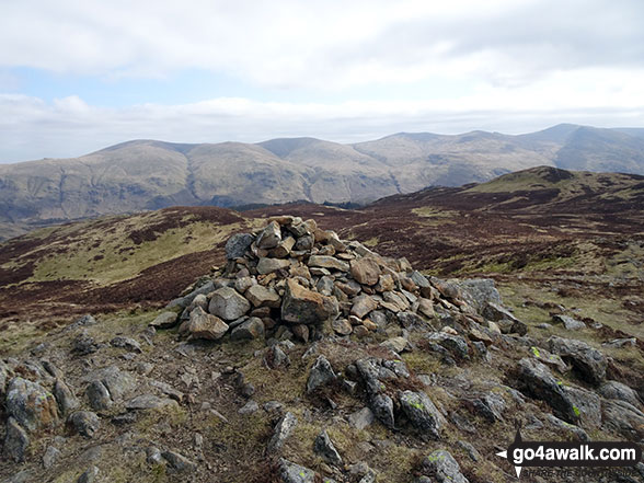 Walk c318 High Seat and Bleaberry Fell from Armboth - Bleaberry Fell summit cairn