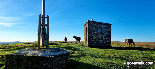 Walk de117 Steeperton Tor from Belstone - On Steeperton Tor