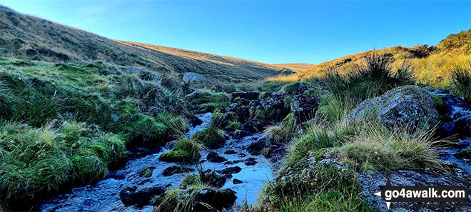 Walk de117 Steeperton Tor from Belstone - On Steeperton Tor