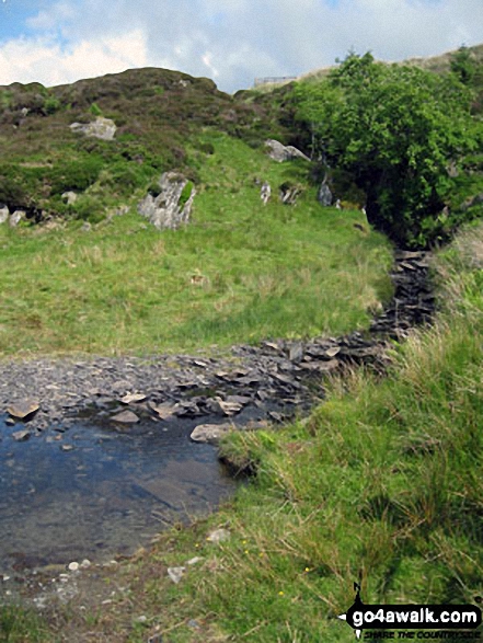 Afon Bwlch y Groes on the lower slopes of Drosgol (Bwlch y Groes) 