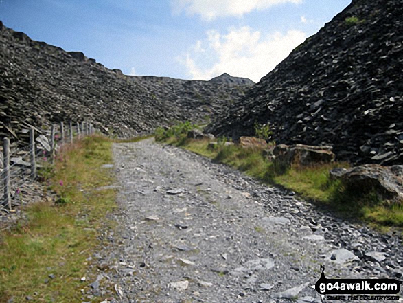 Walk gw170 Moel Penamnen and Manod Mawr from Blaenau Ffestiniog - Climbing through Maen-offeren Quarry, Blaenau Ffestiniog