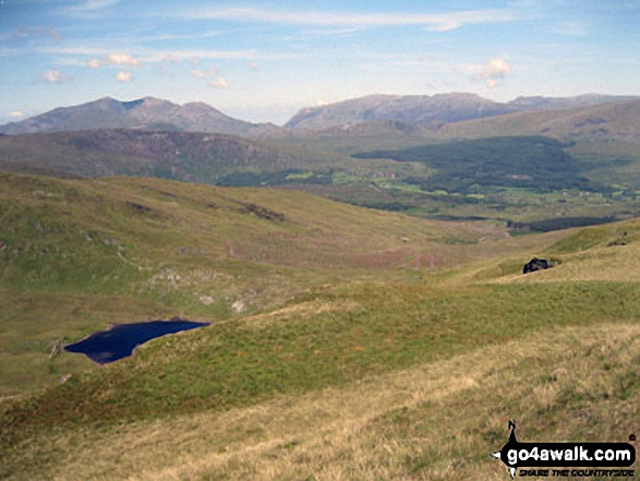 Walk gw170 Moel Penamnen and Manod Mawr from Blaenau Ffestiniog - Mount Snowdon (Yr Wyddfa) & Y Lliwedd (left) and The Glyderau - Glyder Fach, Glyder Fawr & Tryfan (right) from Moel Penamnen