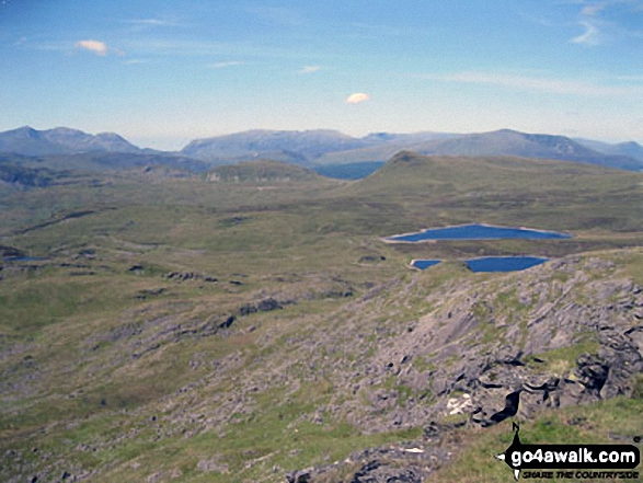 Mount Snowdon (Yr Wyddfa) & Y Lliwedd (left) and The Glyderau - Glyder Fach, Glyder Fawr & Tryfan (centre) and Carnedd Moel Siabod (right) with Moel Penamnen and Llyn Newydd & Llyn Bowydd (mid distance right) from the summit of Manod Mawr (North Top)