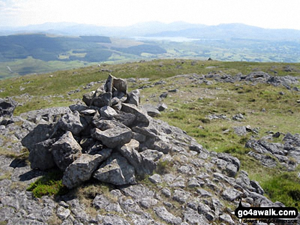 Walk gw170 Moel Penamnen and Manod Mawr from Blaenau Ffestiniog - Manod Mawr summit