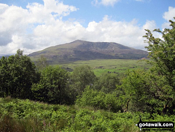 Carnedd Moel Siabod from the lower slopes of Drosgol (Bwlch y Groes) 