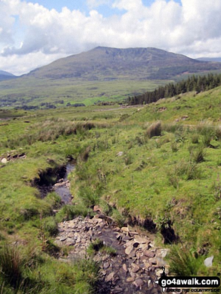 Carnedd Moel Siabod from Afon Bwlch y Groes on the lower slopes of Drosgol (Bwlch y Groes) 