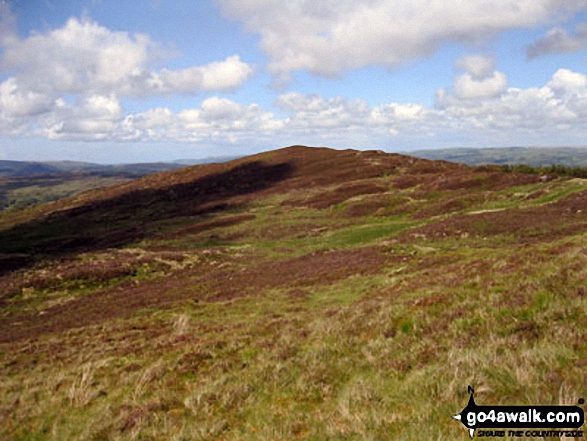 Drosgol (Bwlch y Groes) from Bwlch y Groes 