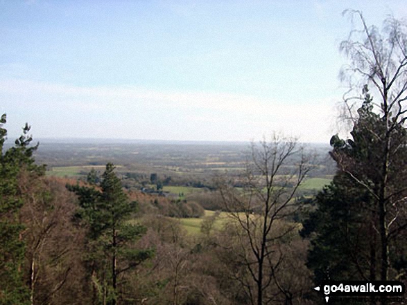 Walk su100 Leith Hill from Friday Street - The view from Leith Hill