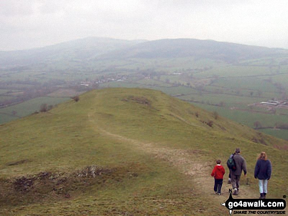 On the Earl's Hill summit ridge