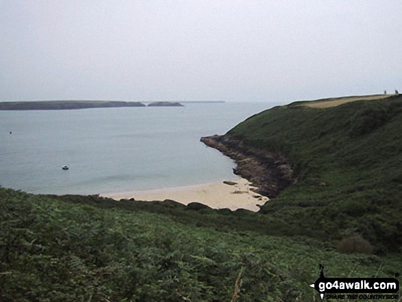 Walk pe110 Aber Bach and Pen y Fan (Dinas Head) from Cwm-yr-Eglwys - Castlebeach Bay, St Ann's Head, Pembrokeshire Coast