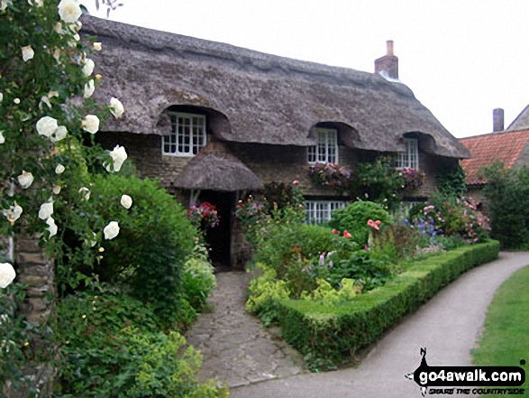 Walk ny242 Howl Dale from Thornton-le-Dale - Pretty cottage in Thornton-le-Dale